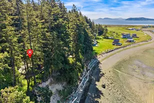 48 Eliza Island, Bellingham, WA 98226 - Photo 3