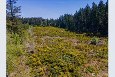 8600 Steamboat Island Road NW, Olympia, WA 98502 - Photo 5