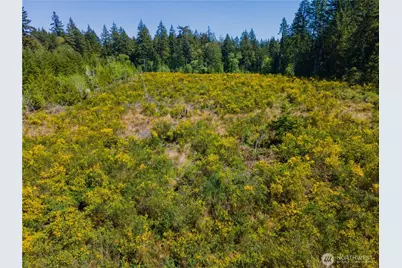 8600 Steamboat Island Road NW, Olympia, WA 98502 - Photo 7