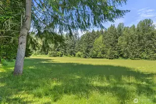 155 Bonell Rd, Randle, WA 98377 - Photo 5