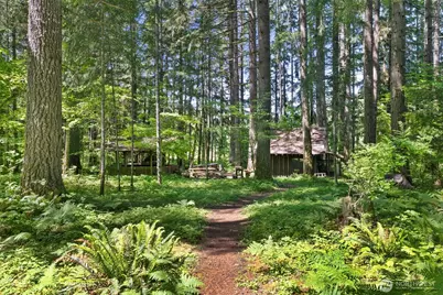 155 Bonell Road, Randle, WA 98377 - Photo 33