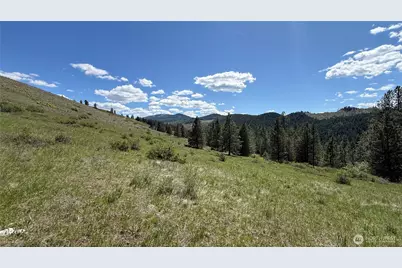 0 Tbd Fir Lane, Curlew, WA 99118 - Photo 11