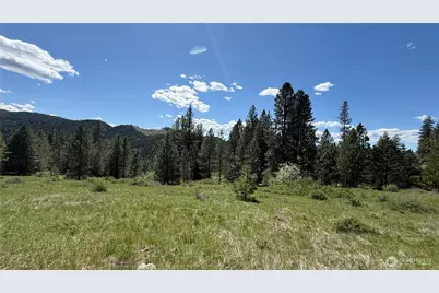 0 Tbd Fir Lane, Curlew, WA 99118 - Photo 13