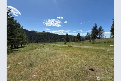 0 Tbd Fir Lane, Curlew, WA 99118 - Photo 5