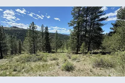 0 Tbd Fir Lane, Curlew, WA 99118 - Photo 17