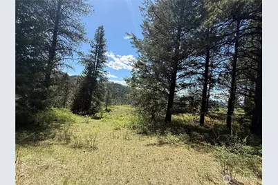 0 Tbd Fir Lane, Curlew, WA 99118 - Photo 3