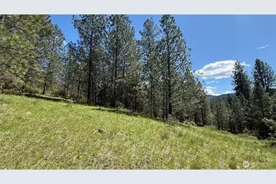 0 Tbd Fir Lane, Curlew, WA 99118 - Photo 15