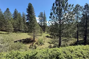 0 Tbd Fir Ln, Curlew, WA 99118 - Photo 1