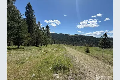 0 Tbd Fir Lane, Curlew, WA 99118 - Photo 9