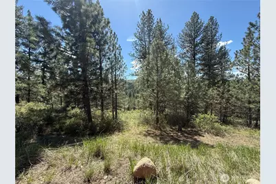 0 Tbd Fir Lane, Curlew, WA 99118 - Photo 19