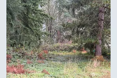 0 Bonanaza Street, Bellingham, WA 98229 - Photo 5