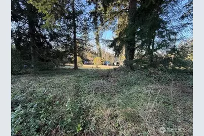 0 Bonanaza Street, Bellingham, WA 98229 - Photo 9