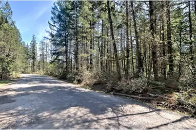 1161 NE Toonerville Drive, Belfair, WA 98528 - Photo 13