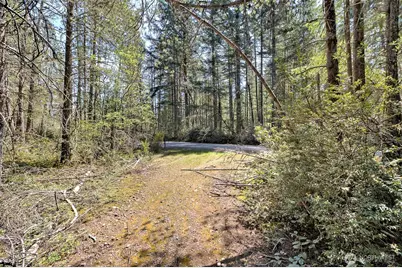 1161 NE Toonerville Drive, Belfair, WA 98528 - Photo 3