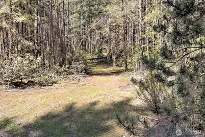 1161 NE Toonerville Drive, Belfair, WA 98528 - Photo 15