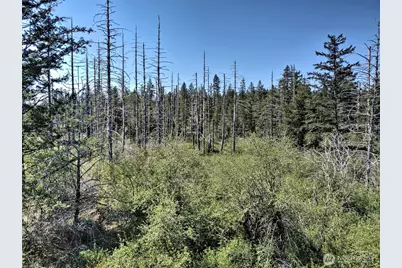 1161 NE Toonerville Drive, Belfair, WA 98528 - Photo 1