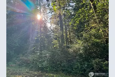 12408 93rd Street, Anderson Island, WA 98303 - Photo 1