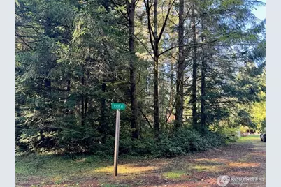 12408 93rd Street, Anderson Island, WA 98303 - Photo 3