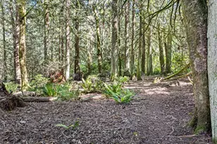 30978 Old Hansville Rd NE, Kingston, WA 98346 - Photo 31