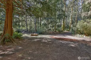 4050 Tree Frog Ln, Langley, WA 98260 - Photo 3