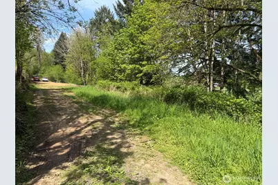 0 Roswell Road, Centralia, WA 98531 - Photo 5