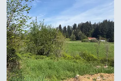 0 Roswell Road, Centralia, WA 98531 - Photo 1