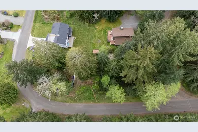 10501 105th Ave Court, Anderson Island, WA 98303 - Photo 3