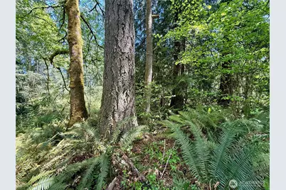 5162 Phillips Road SE, Port Orchard, WA 98367 - Photo 17