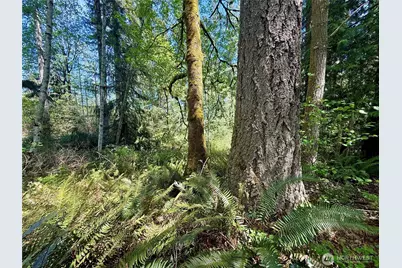5162 Phillips Road SE, Port Orchard, WA 98367 - Photo 31
