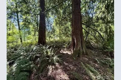 5162 Phillips Road SE, Port Orchard, WA 98367 - Photo 9