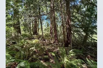 5162 Phillips Road SE, Port Orchard, WA 98367 - Photo 29