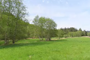 0 Xxx Hagen Rd, Mossyrock, WA 98645 - Photo 1