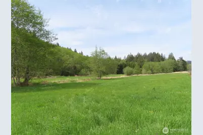 0 Xxx Hagen Road, Mossyrock, WA 98645 - Photo 3