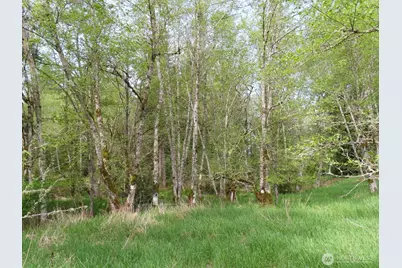 0 Xxx Hagen Road, Mossyrock, WA 98645 - Photo 13