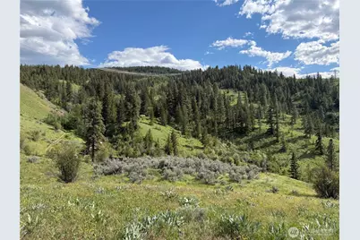 0 Tyee View Loop, Waterville, WA 98858 - Photo 7
