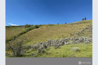 0 Tyee View Loop, Waterville, WA 98858 - Photo 13