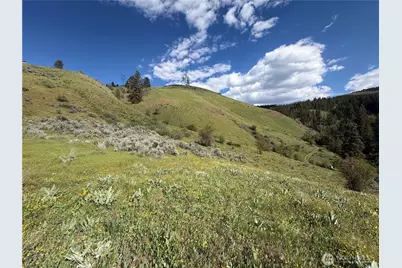 0 Tyee View Loop, Waterville, WA 98858 - Photo 11