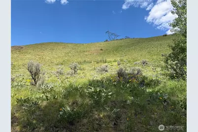 0 Tyee View Loop, Waterville, WA 98858 - Photo 15