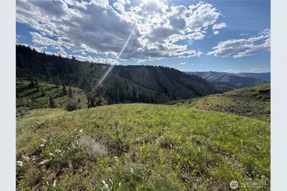 0 Tyee View Loop, Waterville, WA 98858 - Photo 9