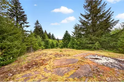 15521 Scott Turner Road E, Eatonville, WA 98328 - Photo 17