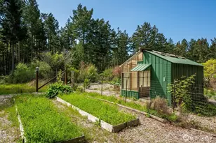 343 Burt Rd, Lopez Island, WA 98261 - Photo 27
