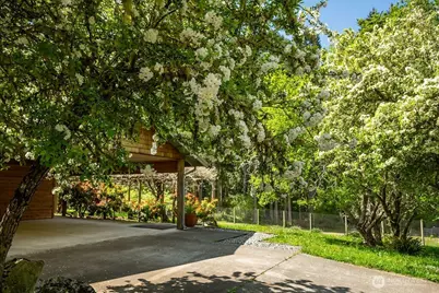 343 Burt Road, Lopez Island, WA 98261 - Photo 25