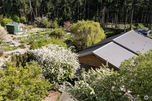 343 Burt Rd, Lopez Island, WA 98261 - Photo 3