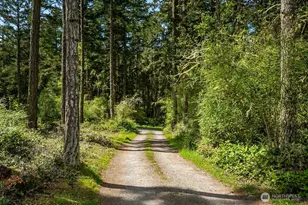343 Burt Rd, Lopez Island, WA 98261 - Photo 39