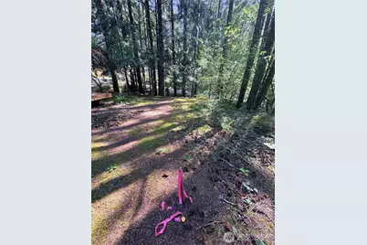 30 N Skokomish Drive, Hoodsport, WA 98548 - Photo 5