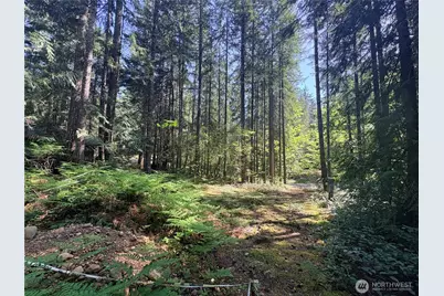 30 N Skokomish Drive, Hoodsport, WA 98548 - Photo 3