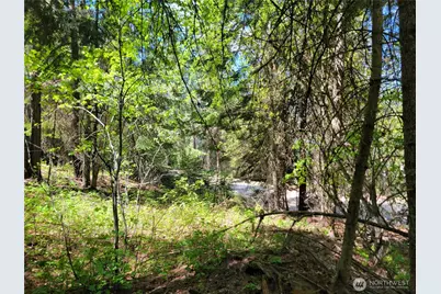 263 Twin Lakes Road, Inchelium, WA 99138 - Photo 9