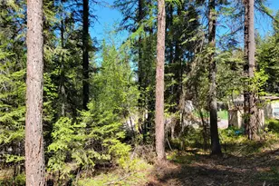 263 Twin Lakes Rd, Inchelium, WA 99138 - Photo 1
