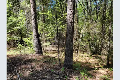 263 Twin Lakes Road, Inchelium, WA 99138 - Photo 3