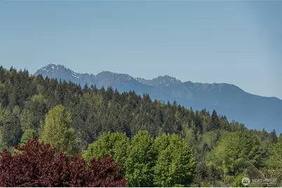 320 Morgison Loop, Sequim, WA 98382 - Photo 3